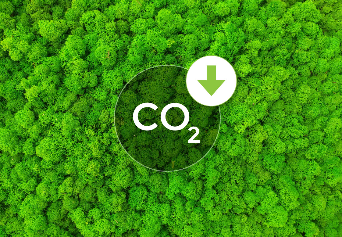 Top 10 Tips to Reduce Your Carbon Footprint for 2022 and beyond